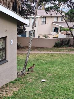 Banana Beach Club B6 - 6