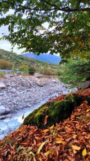 Istisu Valley Spa - 6