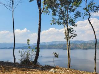 Burera Cottage - - 4