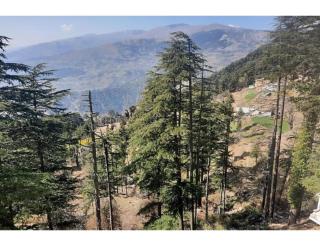 Hotel Dreamland, Patnitop - Patnitop - 9