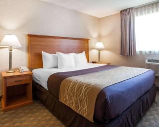 Quality Inn Kirkland - Kirkland - 3
