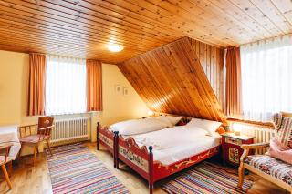 Landgasthof Haueis - Marktleugast - 5