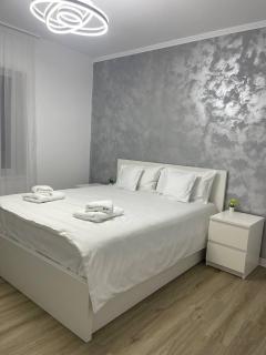 Sara's Apartment - Sibiu - 0