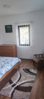 Apartment Bućić - Zlatibor - 3