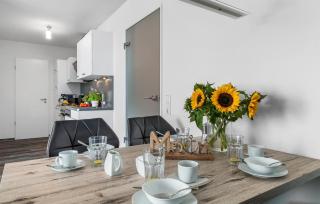 Ostseetraum 3,07 - Olpenitz - 6