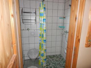 Ferienhaus mit Waldsauna am Kranichfeld - Stuer - 1