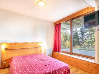 V DU BACHAT AROLLES B02 Appt montagne 6 pers - Chamrousse - 8