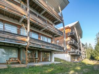 V DU BACHAT AROLLES B02 Appt montagne 6 pers - Chamrousse - 1