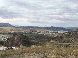 New 1 Bedroom Apartment with Roof Top Terrace - 4