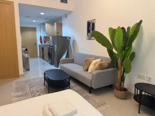 ASHRI HH Spacious Studio in May Residence JVC - Dubai - 9