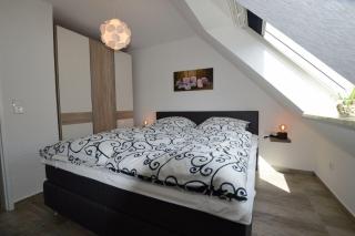 Cesar - Norddeich - 2