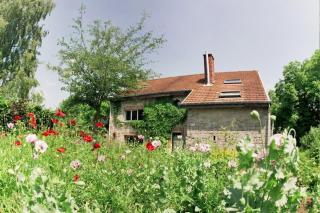 Comfortable luxury villa with private swimming pool - Caleta de Velez - 9