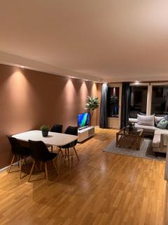 3-bedroom apt for 7,Two baths, Oslo Central - Oslo - 2