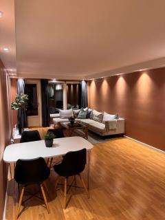 3-bedroom apt for 7,Two baths, Oslo Central - Oslo - 1