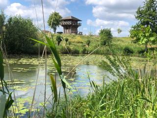 Campingpark de Linie - Opheusden - 4