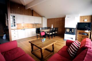Bright 2-Bedroom with Terrace and Fireplace - Beitostøl - 5