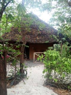 SHADRACK BackPackers - 1