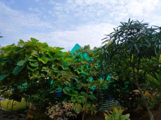 Guava Casa Farm House - Alleppey - 2