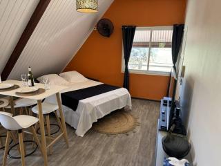 T2 LE COSY, au cœur de Montjoly, parking, clim - Montjoly - 3