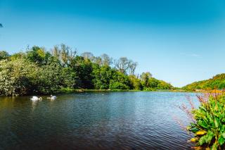 Thurston Manor Standard Daisy Caravan Pet Welcome Sleeps 6 4 - 2