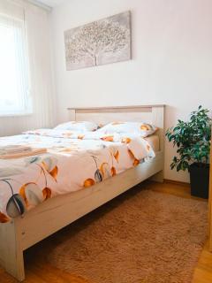 Alacaster G apartman - Novi Sad - 7