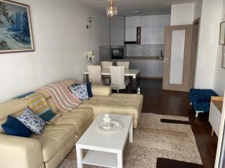 Apartman City Kvart Podgorica lux - Podgorica - 3