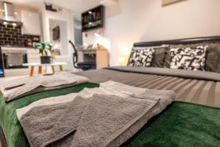 Studio Flat in Stepney-Limehouse - Central London - Londra - 9