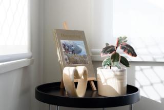 The Riverside Hideaway - A Tranquil Escape - Inveresk - 3