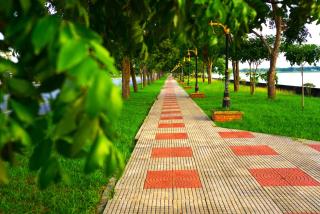 AkiraSunRice Villa calme, jardin et rizières - 9