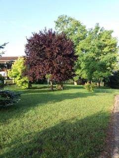 un coin tranquille - Les Mathes - 6