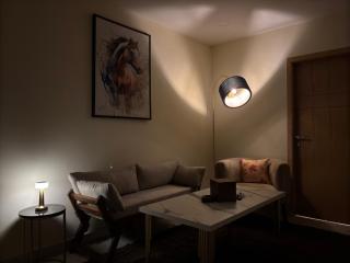 The Skyluxe Designer Suite with Rooftop Pool - Islamabad - 5