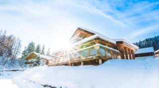 Wohlfuehl-Chalet-Alpengloeckchen - Stadl an der Mur - 9