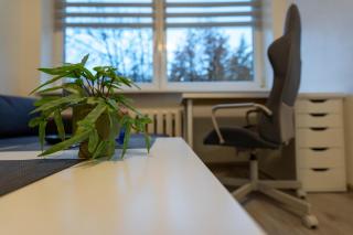 Urban Studio Vilnius - Vilnius - 7