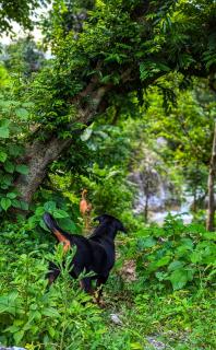 Hobbit House Hostel - 1