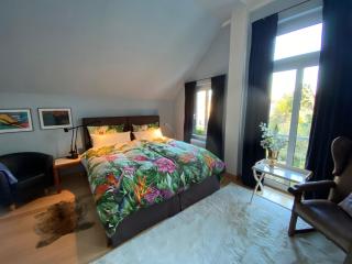ruhige Wohnung in zentral gelegener Gründerzeitvilla - Oldemburgo - 9