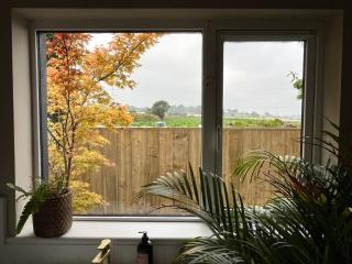 The Lodge, Monkstown - Monkstown - 5