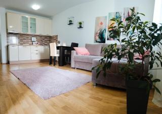 Alacaster G apartman - Novi Sad - 5
