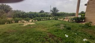 Moatamadia - ‘Ezbet Sharikât Wardan - 1