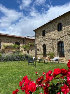 Podere Montale Winery - 4
