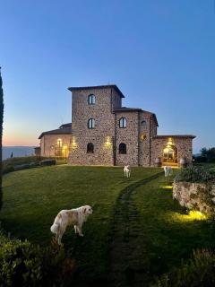 Podere Montale Winery - Seggiano - 8