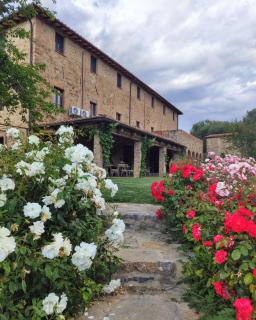 Podere Montale Winery - Seggiano - 7
