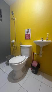 Fully-furnished House Near Puan, Bago & Baliok in Davao City - Davao - 1