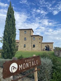 Podere Montale Winery - Seggiano - 9