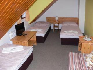 Penzion a restaurace U Zvonku - 3