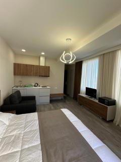 Bakuriani Crystal Loft C 401 - Bakuriani - 2