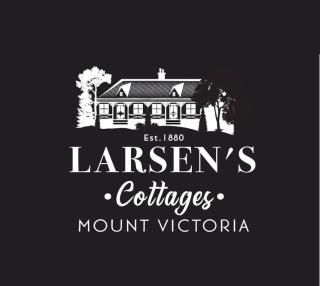 Larsens Cottage 2 - Historic 1880 Home - Mount Victoria - 9