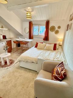 Duplex AGAFAY 4 couchages centre piéton Thonon - Thonon-les-Bains - 8