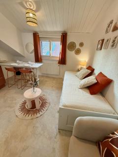 Confortable Studio centre-ville Thonon - 6