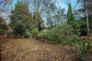 Allambee Cottage - a place of rest - Katoomba - 1