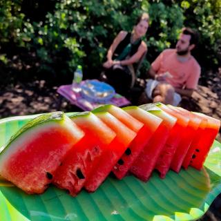 Batu's Safari lodge Udawalawe - 5